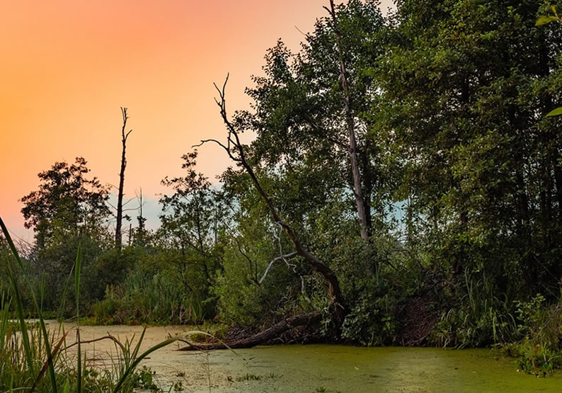 5 opções de passeio a cavalo para fazer no Pantanal do Mato Grosso do Sul