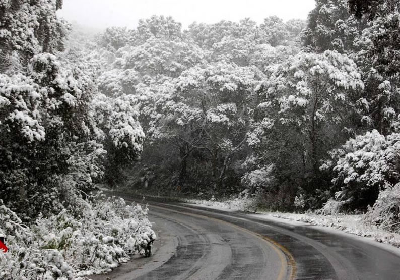 Lugares frios para viajar São Joaquim Santa Catarina