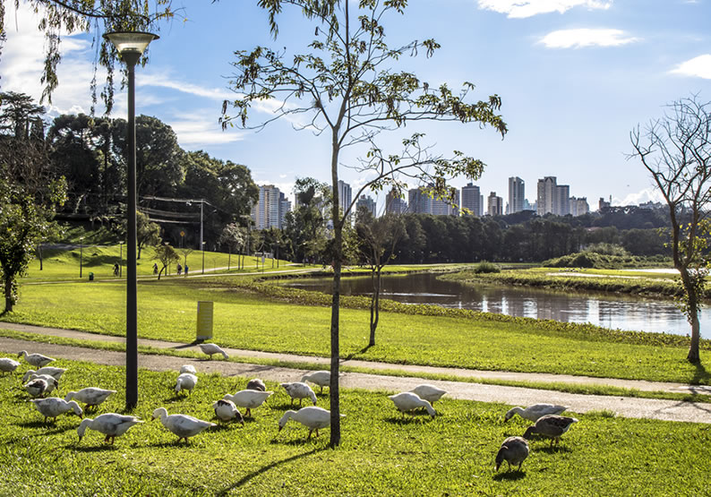 Parques em Curitiba Top 14 melhores parques e bosques [Guia Completo]