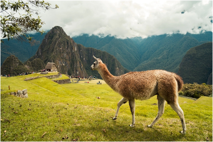Dicas de viagem para Machu Picchu