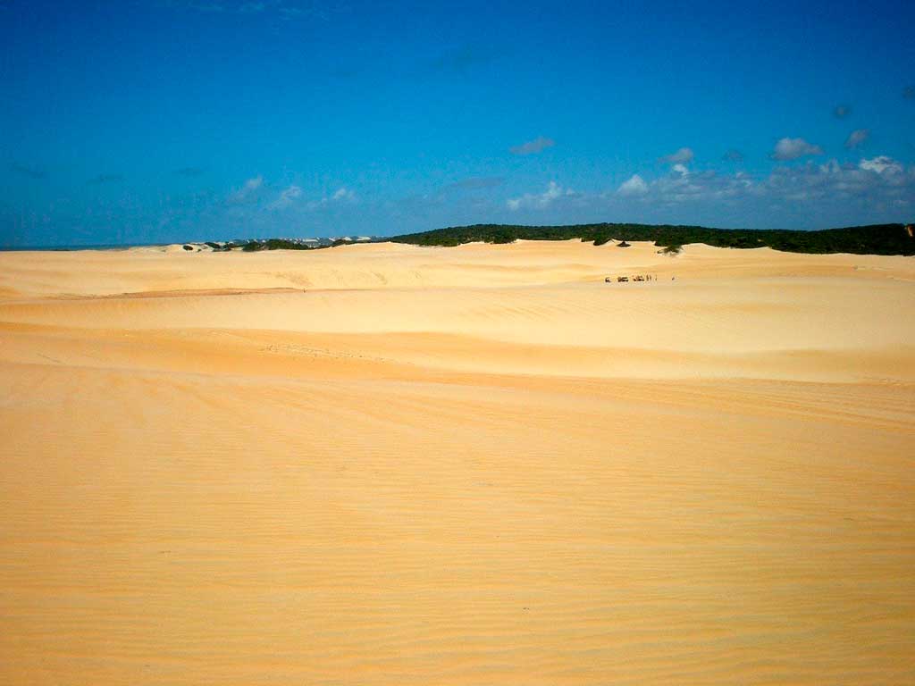 Dunas de Genipabu passeio de buggy imperdível em Natal, RN