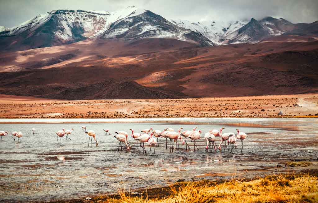 Deserto do Atacama