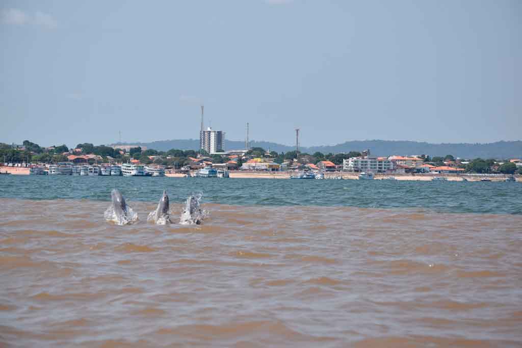 6 atrações imperdíveis para curtir em municípios de Rondônia - Portal  Amazônia