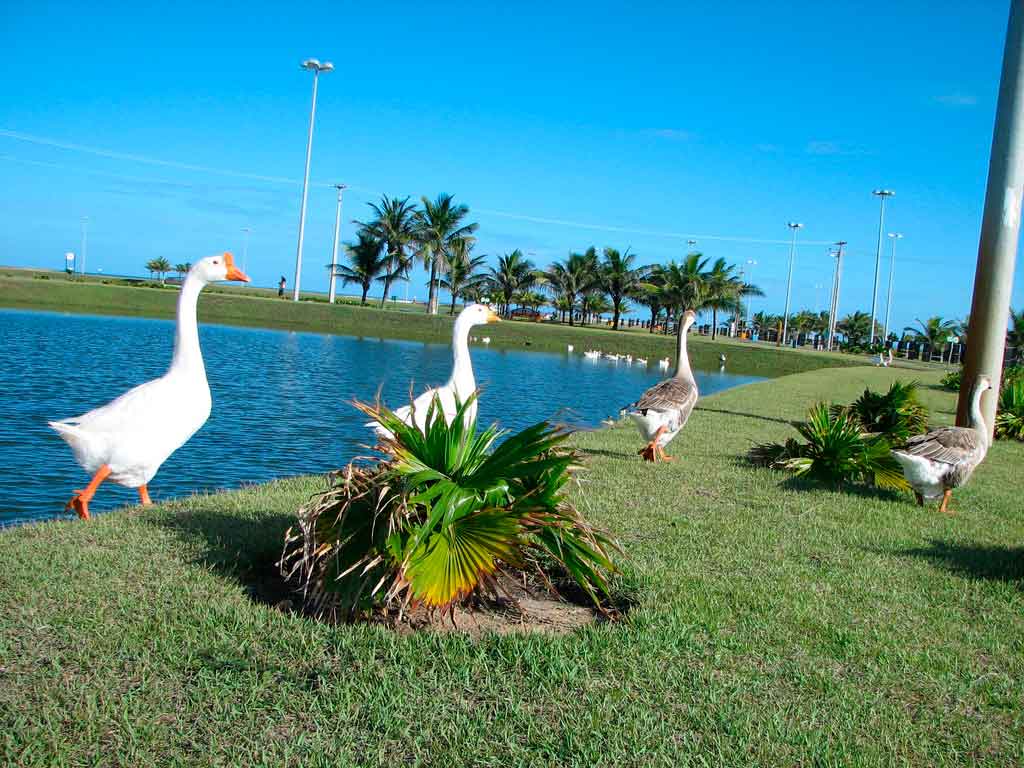 16 Lugares incríveis em Fortaleza que merecem uma visita - Bolsa