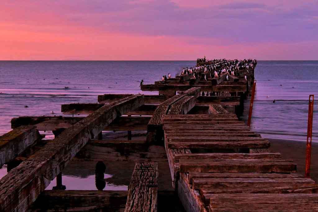 Punta Arenas, Chile 7 lugares que você não pode deixar de explorar