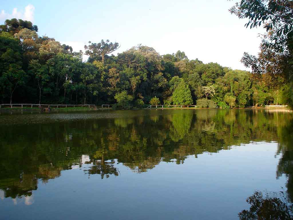 O que fazer em Nova Petrópolis: turismo, gastronomia e compras