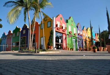 O que fazer em Holambra: como ir, melhor época e pontos turísticos O que fazer em Holambra: como ir, melhor época e pontos turísticos