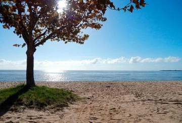 São Lourenço do Sul: informações e dicas de turismo pela cidade São Lourenço do Sul: informações e dicas de turismo pela cidade