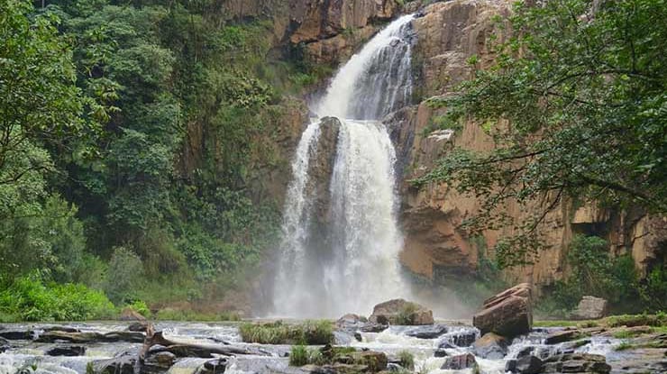 Conheça a piscina com água mineral que fica pertinho de Curitiba