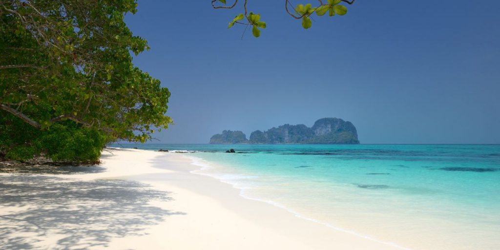 Bamboo Island